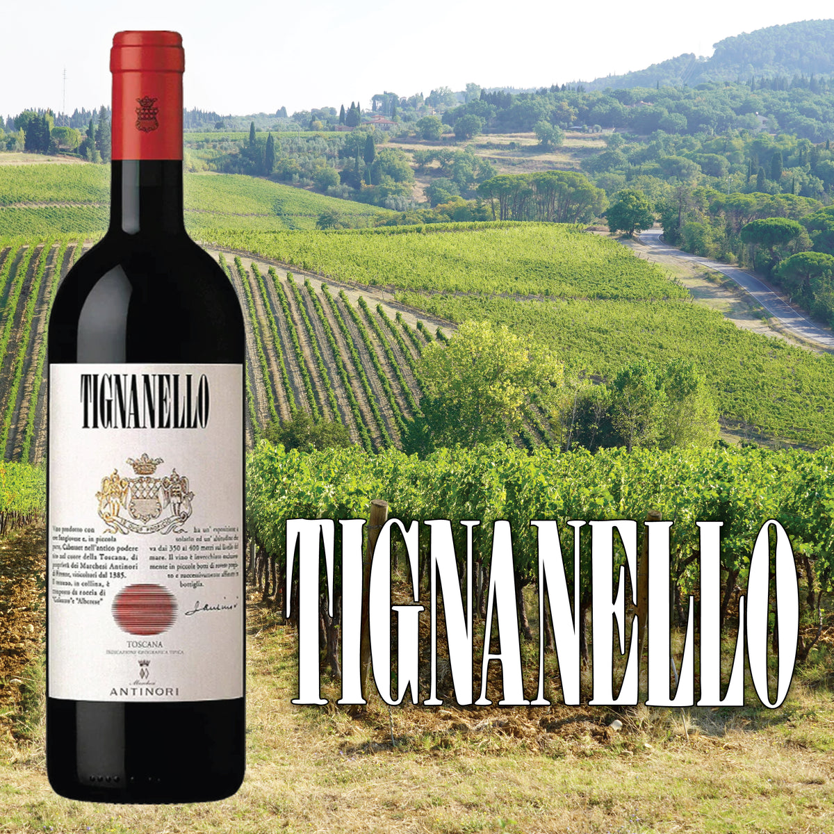 Tignanello – Portafortuna XO